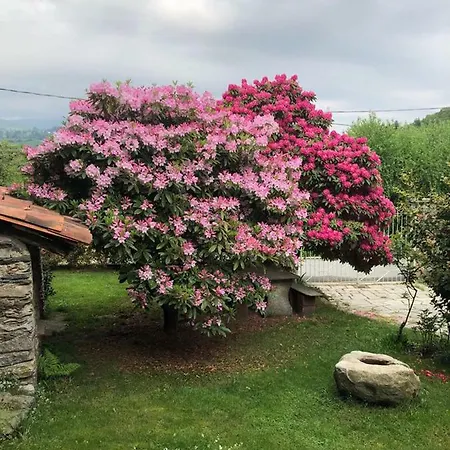 Ma Maison Art Vakantiehuis