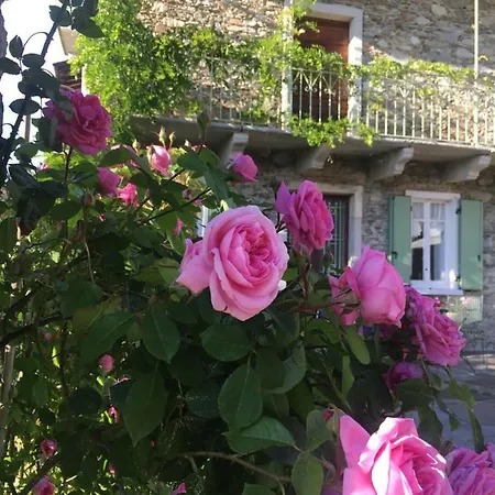 بيت للعطل Ma Maison Art